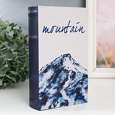Книга-сейф 